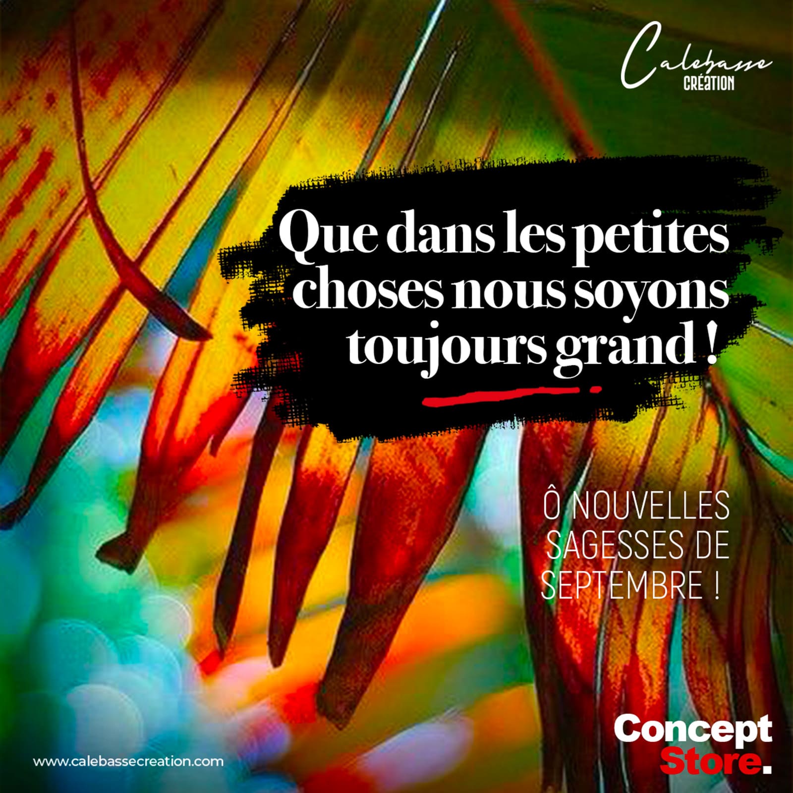 ACTU SEPTEMBRE