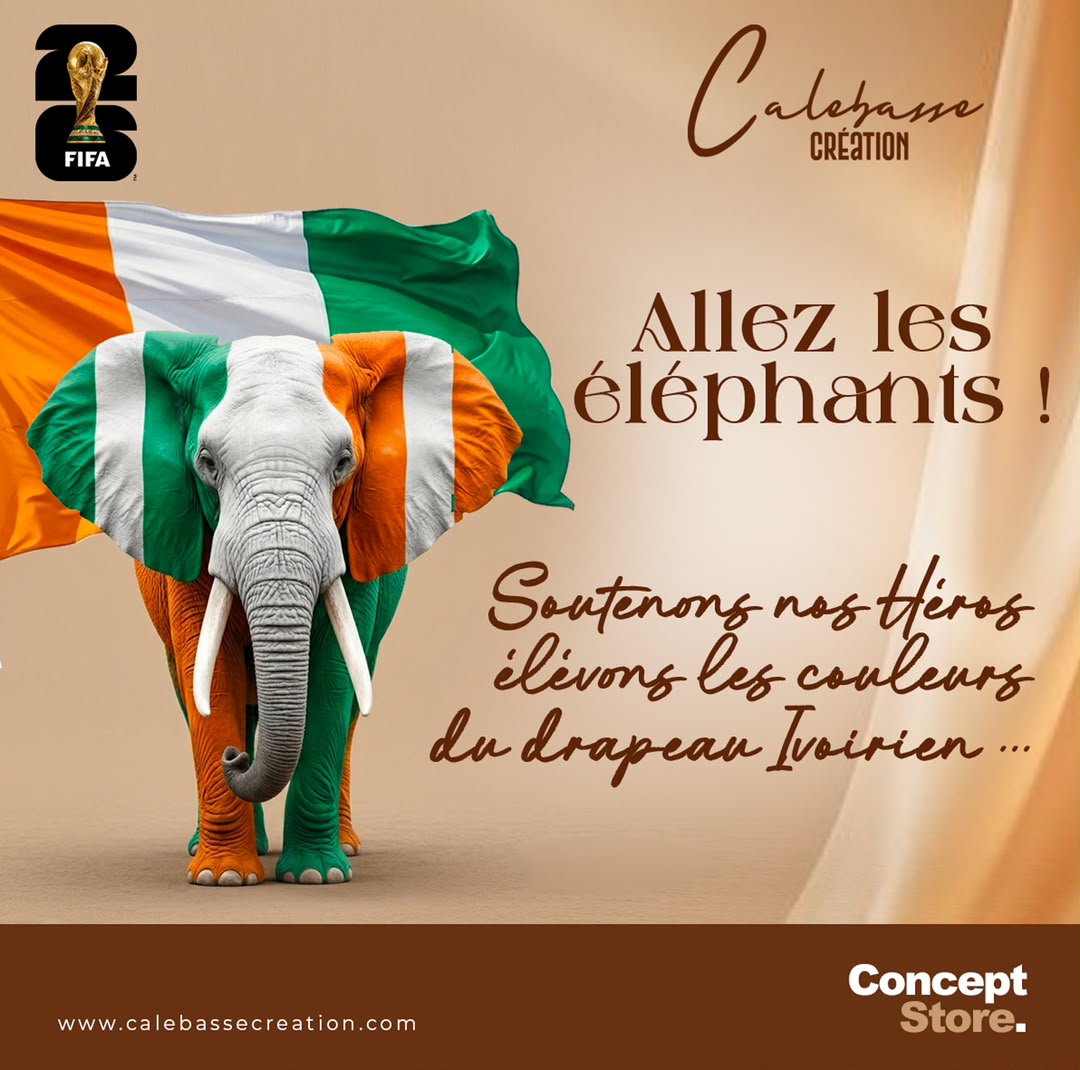 SOUTIENT AU ELEPHANTS